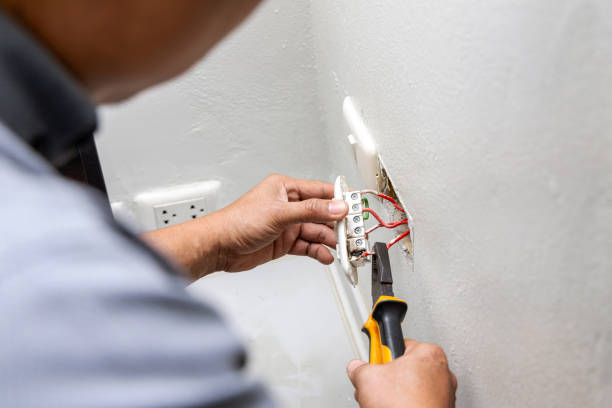 Best Electric Panel Repair  in Whitley City, KY